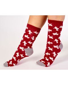 slenderella scotty dog sock LS175 red